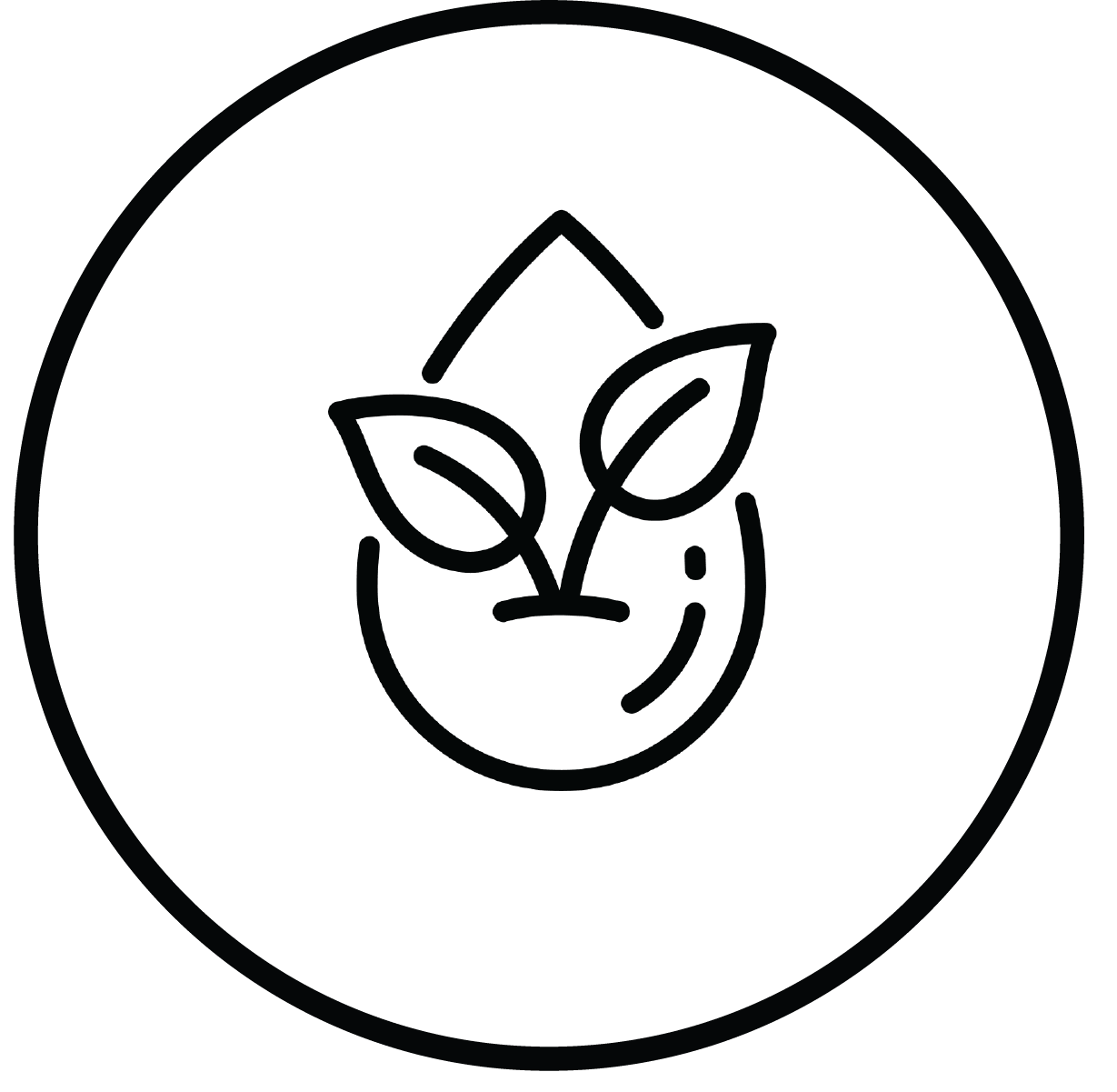 Boost Cellular Regeneration