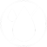 Salyzap Lotion (Night Time)